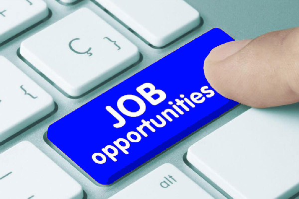Finding a Job